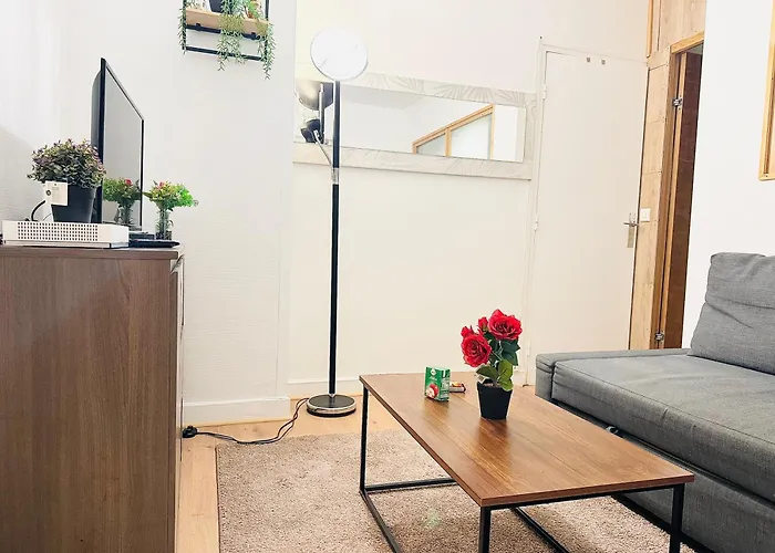 Superbe Appartement 2 Pieces Avec Grande Terrasse